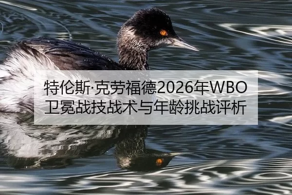te-lun-si-ke-lao-fu-de-nian-wei-mian-zhan-ji-zhan-shu-yu-nian-ling-tiao-zhan-ping-xi-2-246.jpg
